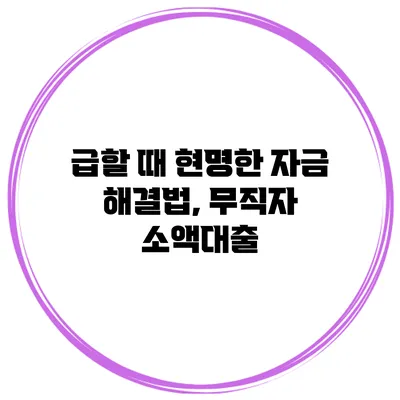 급할 때 현명한 자금 해결법, 무직자 소액대출