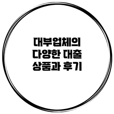 대부업체의 다양한 대출 상품과 후기