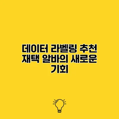 데이터 라벨링 추천 재택 알바의 새로운 기회