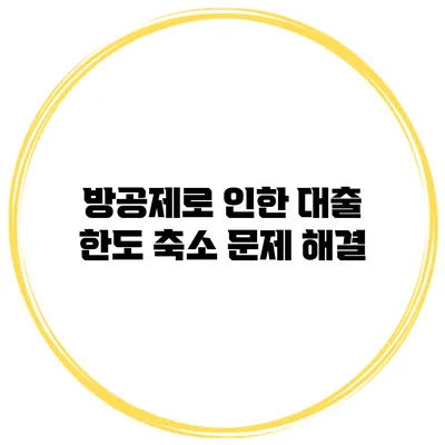 방공제로 인한 대출 한도 축소 문제 해결