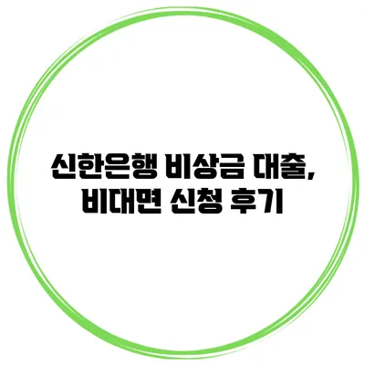 신한은행 비상금 대출, 비대면 신청 후기