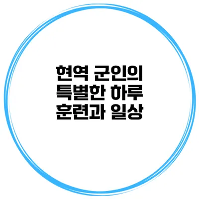 현역 군인의 특별한 하루 훈련과 일상