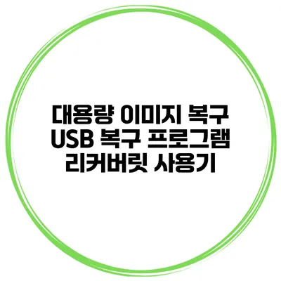 대용량 이미지 복구 USB 복구 프로그램 리커버릿 사용기