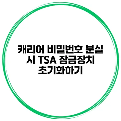 캐리어 비밀번호 분실 시 TSA 잠금장치 초기화하기