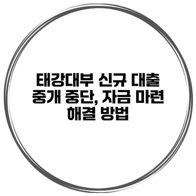 태강대부 신규 대출 중개 중단, 자금 마련 해결 방법